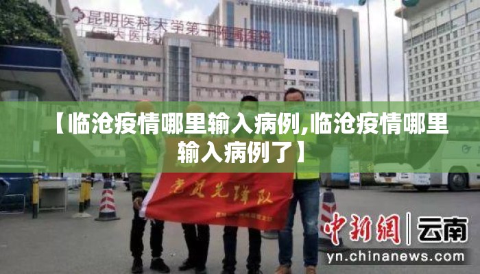 【临沧疫情哪里输入病例,临沧疫情哪里输入病例了】