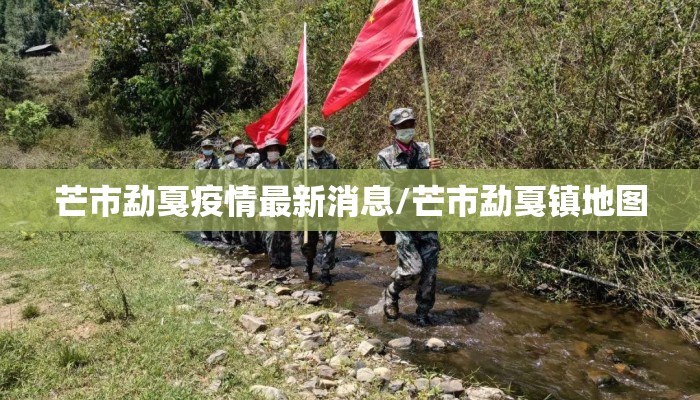 芒市勐戛疫情最新消息/芒市勐戛镇地图