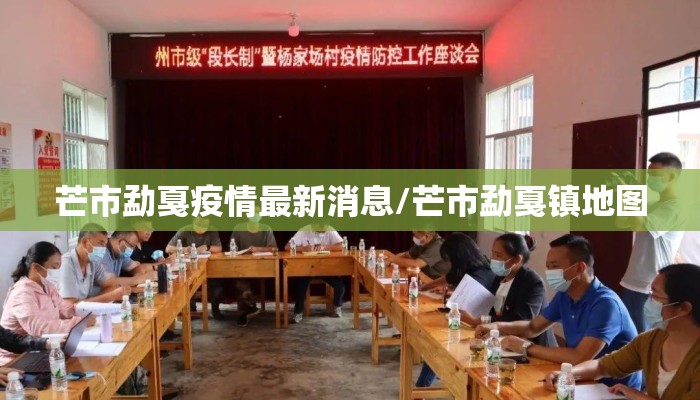 芒市勐戛疫情最新消息/芒市勐戛镇地图