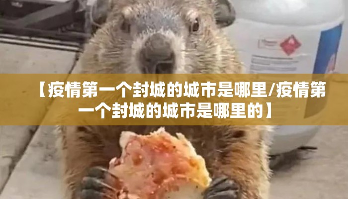 【疫情第一个封城的城市是哪里/疫情第一个封城的城市是哪里的】