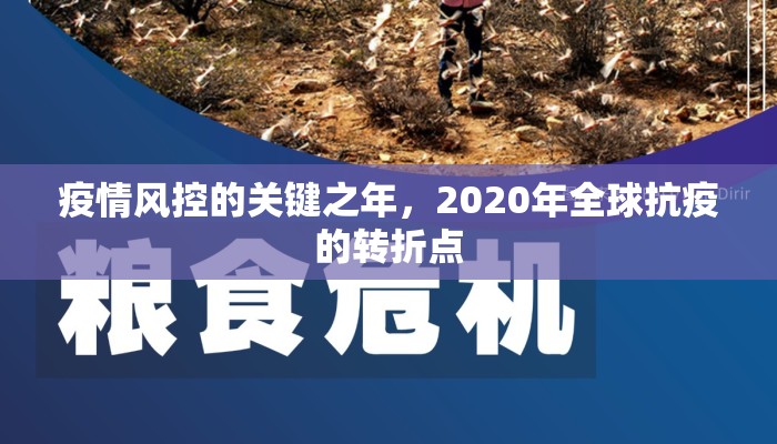 疫情风控的关键之年，2020年全球抗疫的转折点