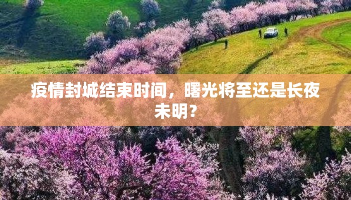 疫情封城结束时间，曙光将至还是长夜未明？