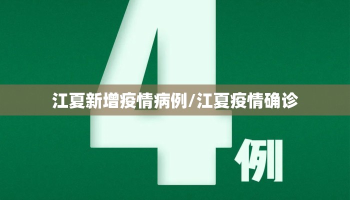 江夏新增疫情病例/江夏疫情确诊