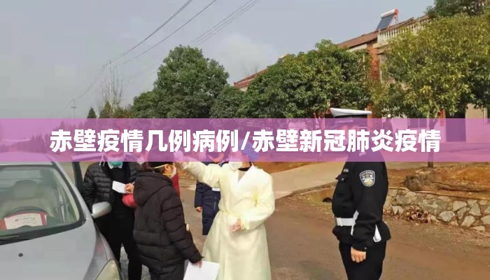 赤壁疫情几例病例/赤壁新冠肺炎疫情