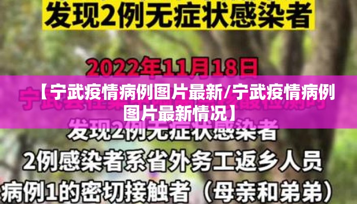 【宁武疫情病例图片最新/宁武疫情病例图片最新情况】