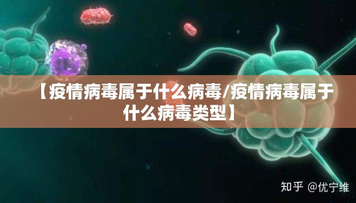 【疫情病毒属于什么病毒/疫情病毒属于什么病毒类型】