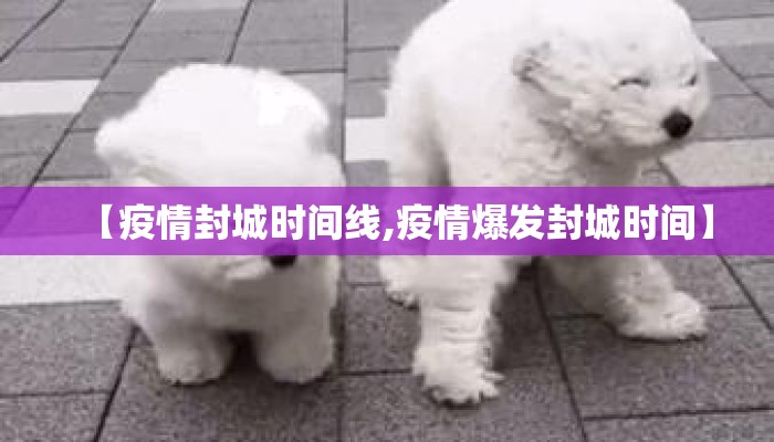 【疫情封城时间线,疫情爆发封城时间】