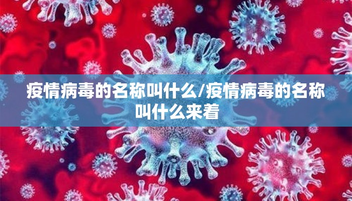 疫情病毒的名称叫什么/疫情病毒的名称叫什么来着