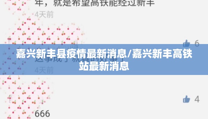 嘉兴新丰县疫情最新消息/嘉兴新丰高铁站最新消息