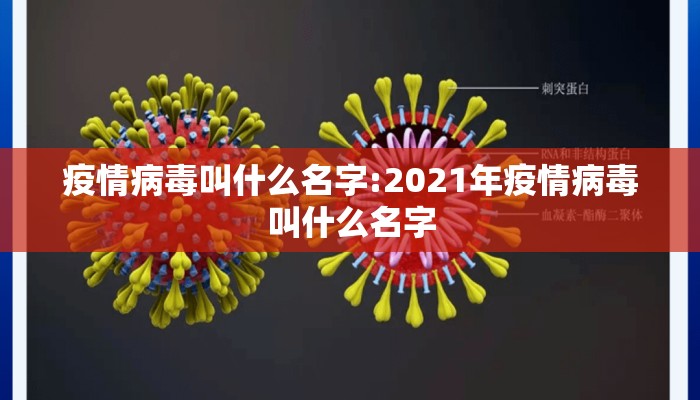 疫情病毒叫什么名字:2021年疫情病毒叫什么名字