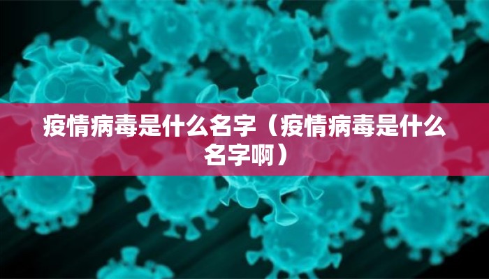 疫情病毒是什么名字（疫情病毒是什么名字啊）