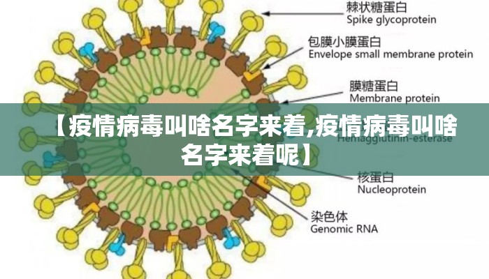 【疫情病毒叫啥名字来着,疫情病毒叫啥名字来着呢】