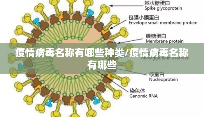 疫情病毒名称有哪些种类/疫情病毒名称有哪些