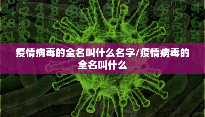 疫情病毒的全名叫什么名字/疫情病毒的全名叫什么