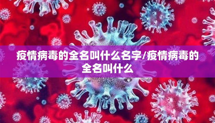 疫情病毒的全名叫什么名字/疫情病毒的全名叫什么