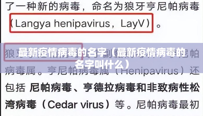 最新疫情病毒的名字（最新疫情病毒的名字叫什么）