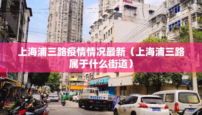 上海浦三路疫情情况最新（上海浦三路属于什么街道）