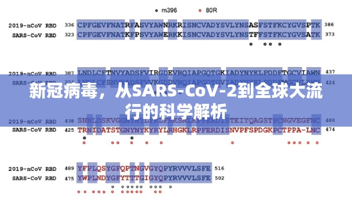 新冠病毒，从SARS-CoV-2到全球大流行的科学解析