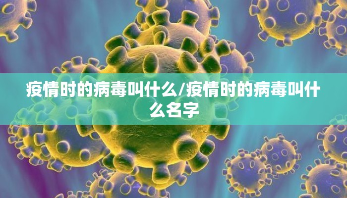 疫情时的病毒叫什么/疫情时的病毒叫什么名字