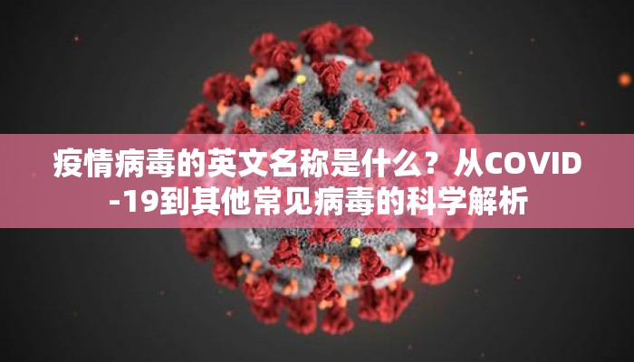疫情病毒的英文名称是什么？从COVID-19到其他常见病毒的科学解析