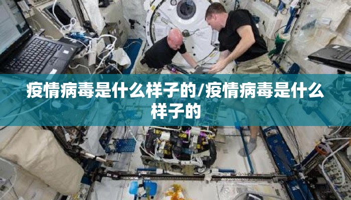 疫情病毒是什么样子的/疫情病毒是什么样子的