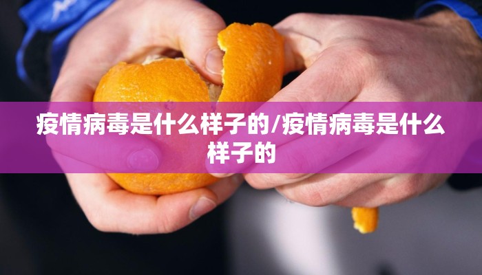 疫情病毒是什么样子的/疫情病毒是什么样子的