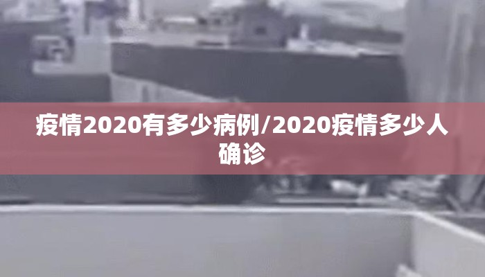 疫情2020有多少病例/2020疫情多少人确诊