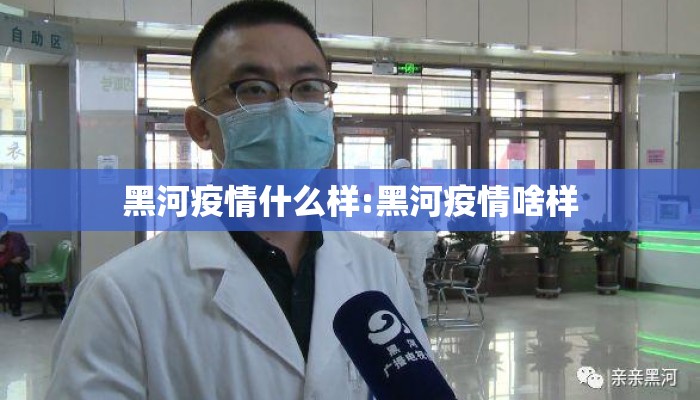 黑河疫情什么样:黑河疫情啥样