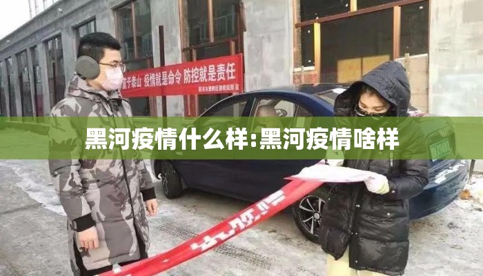 黑河疫情什么样:黑河疫情啥样