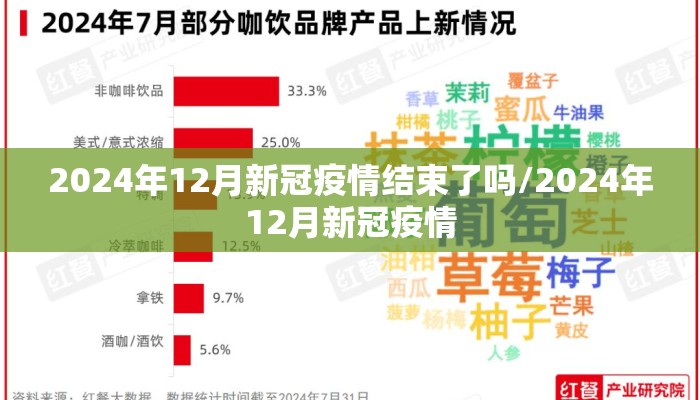2024年12月新冠疫情结束了吗/2024年12月新冠疫情