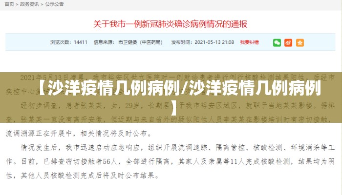 【沙洋疫情几例病例/沙洋疫情几例病例】