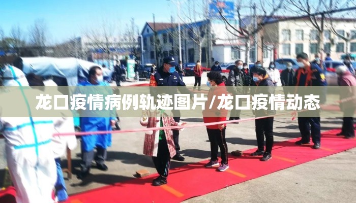 龙口疫情病例轨迹图片/龙口疫情动态
