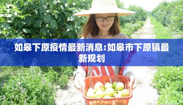 如皋下原疫情最新消息:如皋市下原镇最新规划
