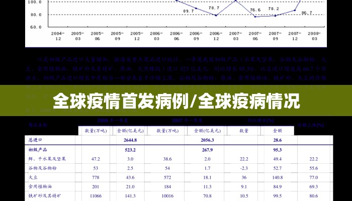 全球疫情首发病例/全球疫病情况