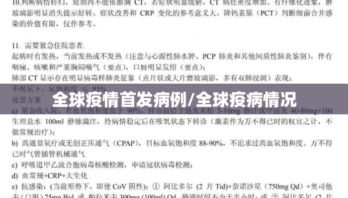 全球疫情首发病例/全球疫病情况