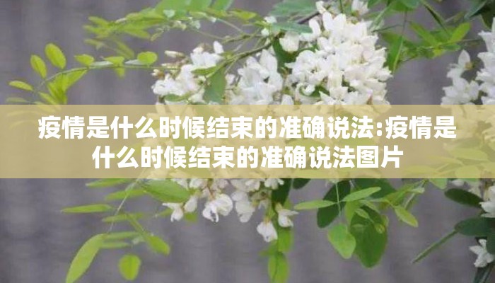 疫情是什么时候结束的准确说法:疫情是什么时候结束的准确说法图片