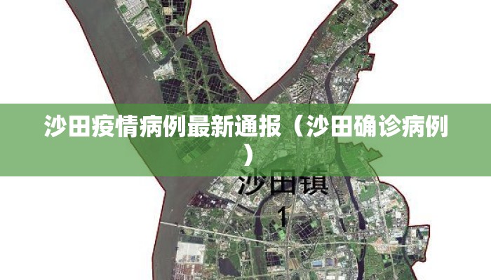 沙田疫情病例最新通报（沙田确诊病例）