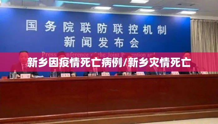 新乡因疫情死亡病例/新乡灾情死亡