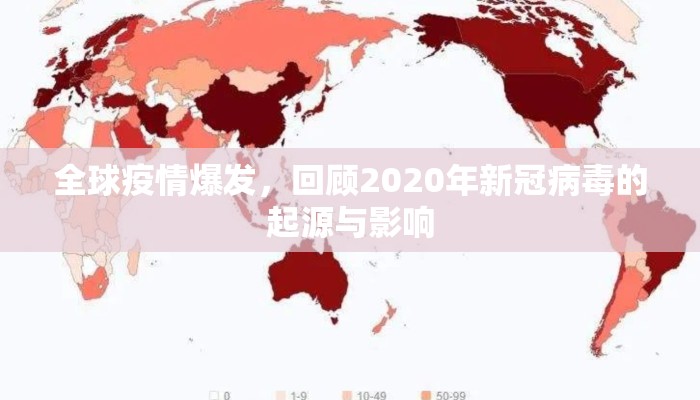 全球疫情爆发，回顾2020年新冠病毒的起源与影响