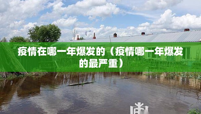 疫情在哪一年爆发的（疫情哪一年爆发的最严重）