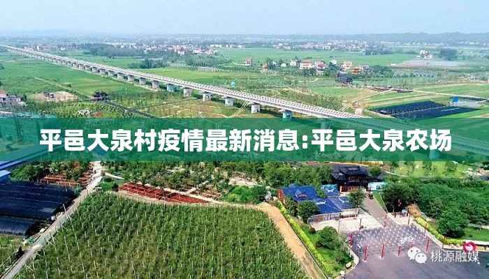 平邑大泉村疫情最新消息:平邑大泉农场