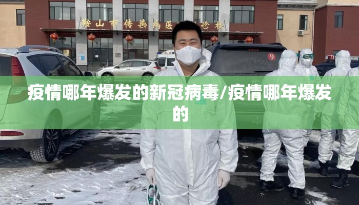 疫情哪年爆发的新冠病毒/疫情哪年爆发的