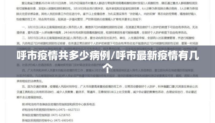 呼市疫情共多少病例/呼市最新疫情有几个