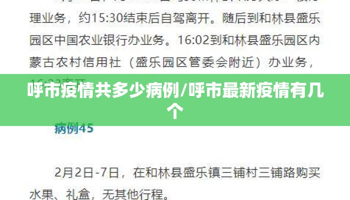 呼市疫情共多少病例/呼市最新疫情有几个