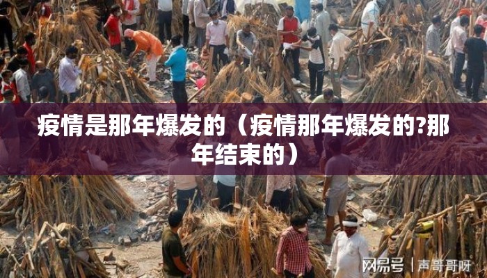 疫情是那年爆发的（疫情那年爆发的?那年结束的）