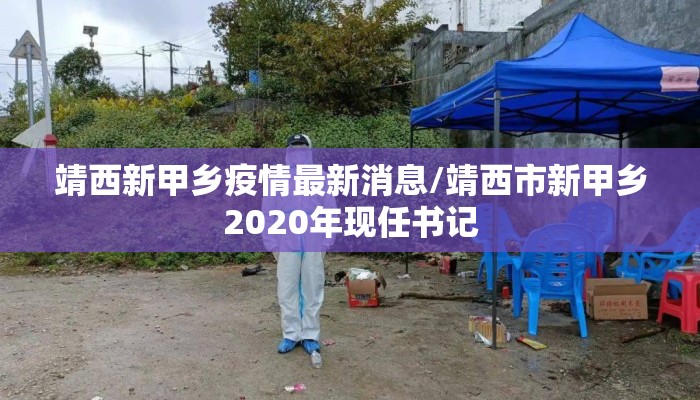 靖西新甲乡疫情最新消息/靖西市新甲乡2020年现任书记