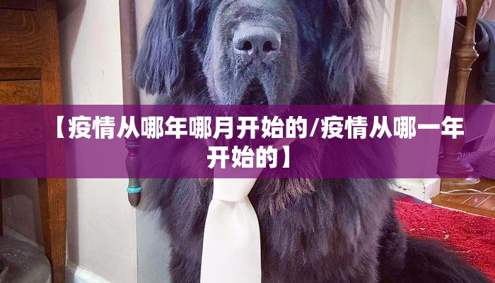 【疫情从哪年哪月开始的/疫情从哪一年开始的】