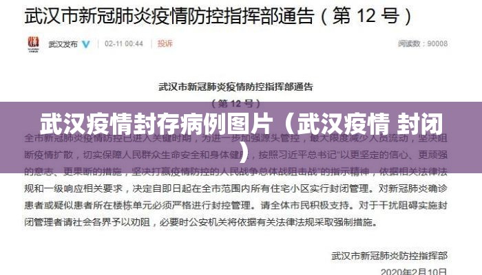 武汉疫情封存病例图片（武汉疫情 封闭）