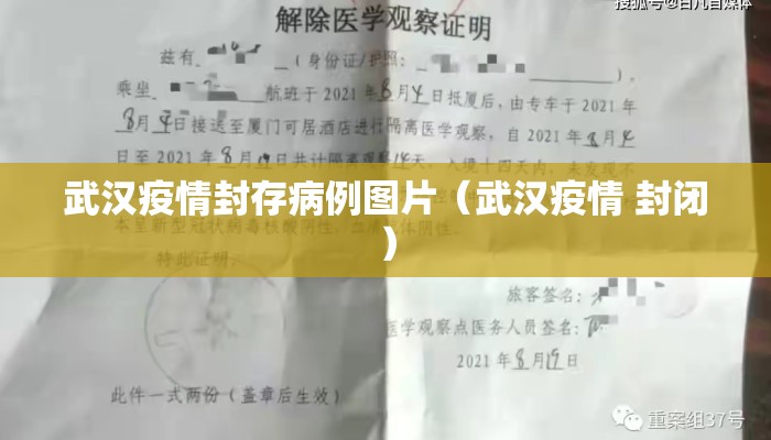 武汉疫情封存病例图片（武汉疫情 封闭）