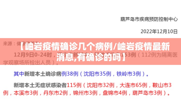 【岫岩疫情确诊几个病例/岫岩疫情最新消息,有确诊的吗】